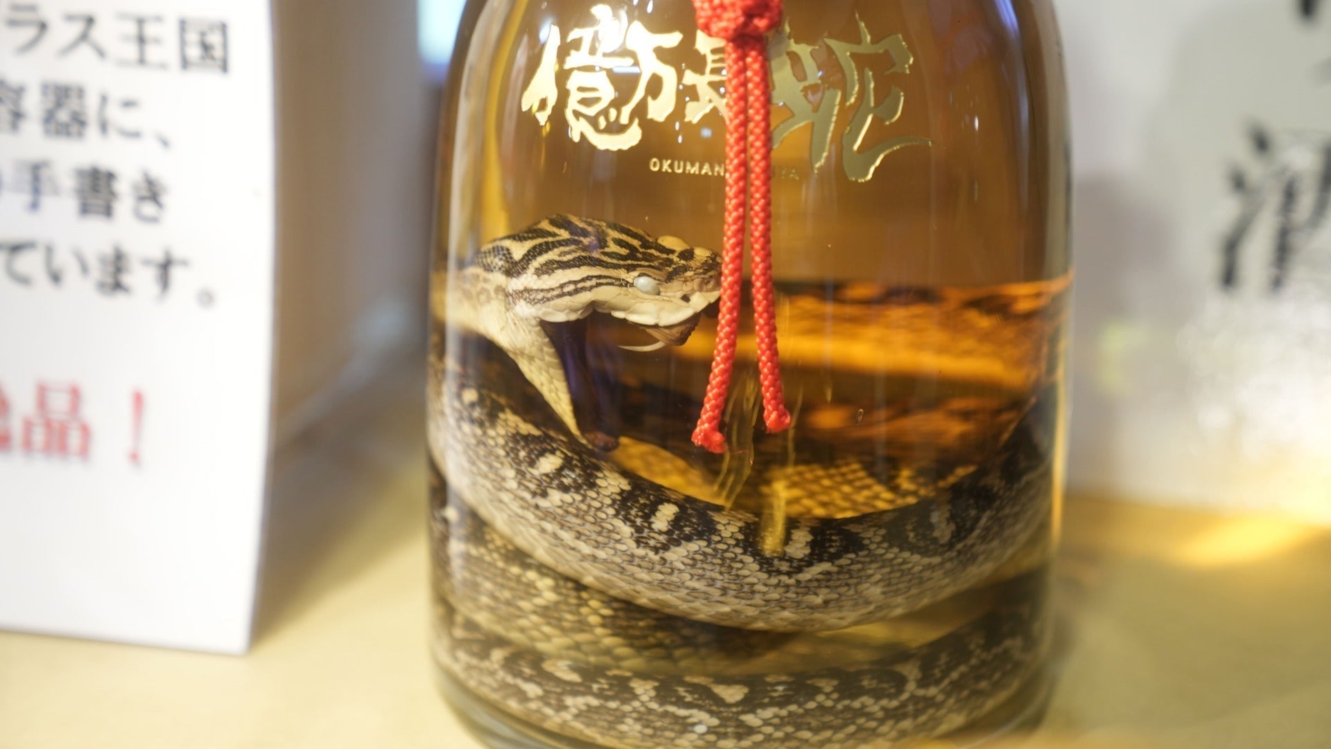 ハブ 酒 作り方